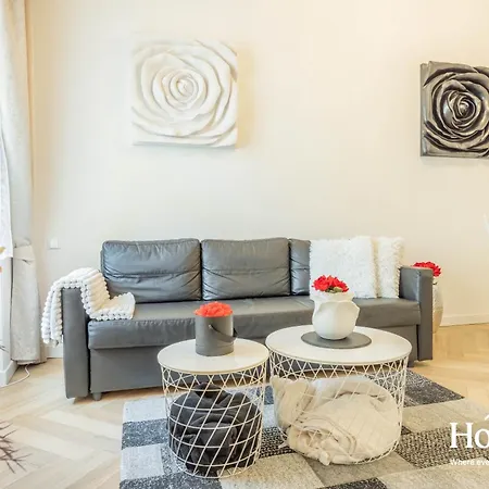 Velvet Rose-prague1-luxury-ac-quiet-netflix-washer 公寓